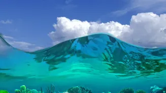 Sustainable Island Travel Guidelines In Lakshadweep Support Long-Term Coral Reef Ecosystem Protection Efforts