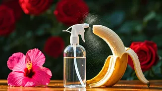 Ditch Synthetic Food: Banana Peel Spray Boosts Summer Flowers