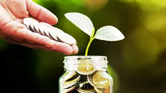 How To Start Equity Investing In Your 20s: Index Funds Versus Multi-Cap Funds