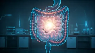 Excess Protein's Gut Check: A Surgeon's Warning on Health Backfire