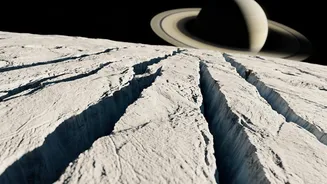 Enceladus Strengthens The Case For Future Life-Detection Missions And Still Offers Evidence Of Habitability, Not Proof Of Life