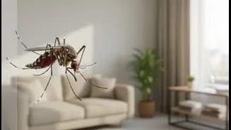 Renter Life Has Entered Mosquito Season