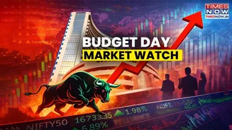 Budget 2026 and Sunday Trading: Markets Open In Red - What Lies Ahead for BSE, NSE and FII Flows