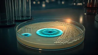 The Accidental Discovery of Penicillin: How a Moldy Petri Dish Launched the Antibiotic Era