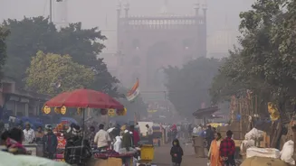 At 3 deg Celsius, Delhi wakes up to coldest January morning in 3 years