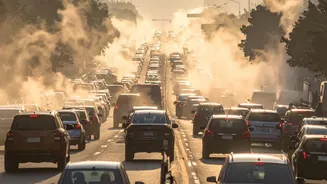 GRAP Stage 4 Vehicle Restrictions In Delhi-NCR - Latest Fines And Rules Explained