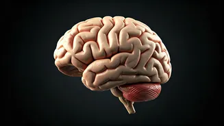 Boost Brainpower: 5 Exercises to Sharpen Your Mind