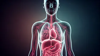 Related Stories banner