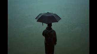 Word of the day: monsoon trough — the invisible weather line that decides where rain reaches next