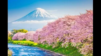 Japan Visa For Indians: Documents, Fees & First Timer’s Guide To Cherry Blossom Season
