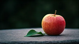 Summer Discipline Now Means Knowing When To Stop