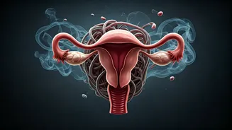 The Cortisol Connection: How Chronic Stress Quietly Impacts Women's Fertility