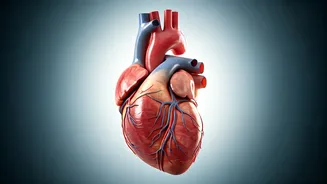 Heart Health in the Skies: Protecting Your Heart While Flying