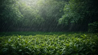 Rainy Travel Feels Better Without Tourist Chaos