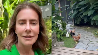 Longe do luxo, Maitê Proença mostra sua vida no campo:'Galinhas, água limpa e horta'