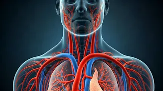 10 Yoga Poses to Revitalize Blood Circulation This Winter