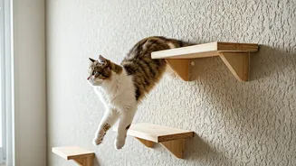 Give Your Bored Cat Adventure Mounting Simple Wooden Steps