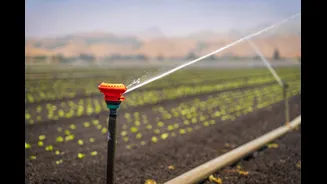 Water-Smart Farming: Transforming Indian Agriculture