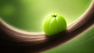 Amla Oil for Hair Growth: Unveiling the Truth Behind the Myth