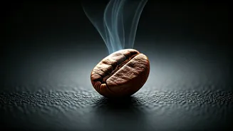 Your Morning Coffee: Unlocking an Ancient Cellular Longevity Switch