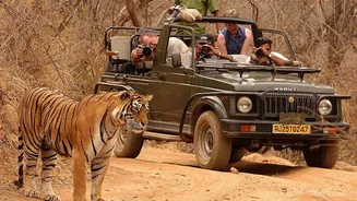 Pilibhit Tiger Reserve tourist safari vehicles violate norms by blocking tiger's movement