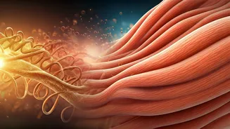 Unlocking Protein's True Role: How It Aids Weight Loss (and When It Doesn't)