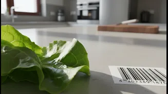 Quick-Commerce Grocery Safety Brings Spoilage, Expiry and Storage Checks into Everyday Decisions for Online Grocery Shoppers