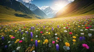 Valley Of Flowers Is Nature Travel Done Right