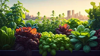 Rooftop Food Plans Are The Delhi Summer Cheat Code