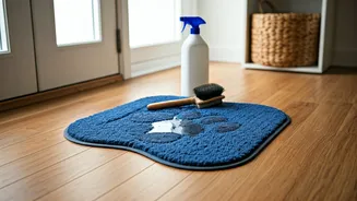 Pet Parents Need Post-Walk Cleaning Discipline