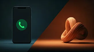 Bryan Johnson's '15-Second Call' Friendship Hack: Connection or Isolation?