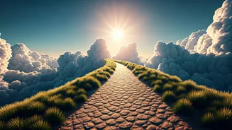 Cloud Walks Are Every Nature Lover's Dream