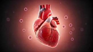 The Heart's Remarkable Cancer Resistance: A Cardiologist Explains Why