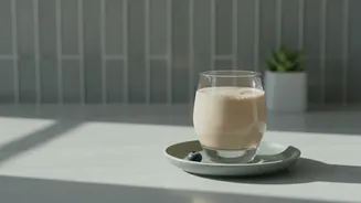 How Plant Based Protein Powders Compare Against Standard Whey In Digestibility And Recovery