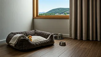 Travellers Want Pet Amenities That Actually Work