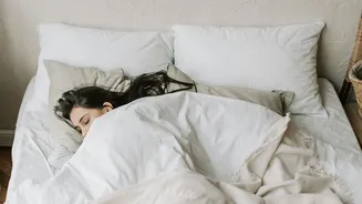 O fim da cama box? Conheça a tendência que está transformando os quartos em 2026