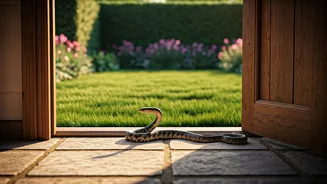 Uninvited Guests: Why Snakes Invade Your Home and Garden & How to Prevent It