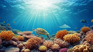 Dive into Wonder: Unveiling Earth's Most Astonishing Underwater Realms