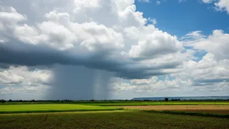 IMD's District-Level Monsoon Warnings Makes District Forecasts Over National Rainfall Averages Essential