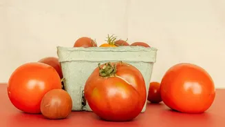 Foods Not To Refrigerate: Tomatoes potatoes and bread each need different storage logic