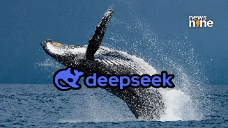 Related Stories banner