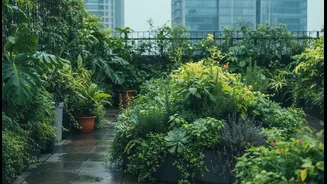 Cooling Gardens Are Reshaping How Indians Use Terraces During The Monsoon