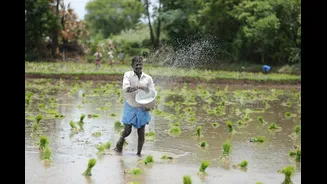 Advances in Subseasonal-to-Seasonal Predictions for Monsoon Onset