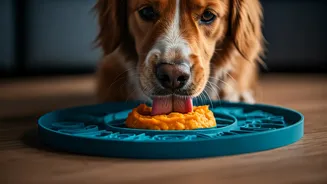 Freeze Nutritious Pumpkin Mash Inside Licking Mats For Dogs