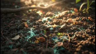 Climate-Stressed Farms Need Microbe-Level Solutions Too