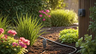Keep Your Home Garden Alive Using Automatic Plant Watering Systems