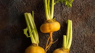 The Better Root Vegetable Is the One You Will Eat Regularly