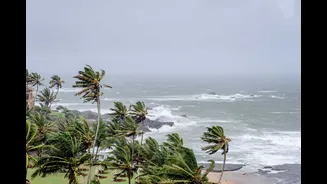 Andaman monsoon now in week 2: how Bay of Bengal currents are pushing it toward Kerala