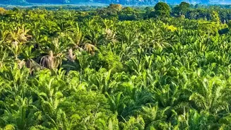 10 Negara dengan Produksi Minyak Terbesar di Dunia