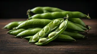 Indian Recipe Feeds Are Discovering Fava Beans